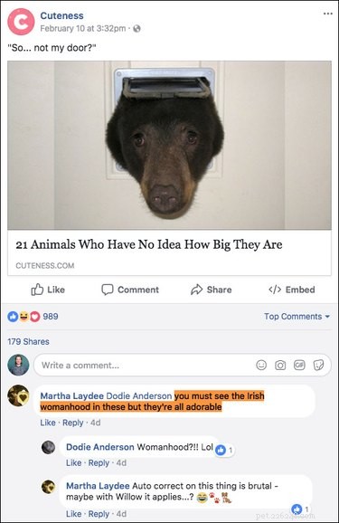 15 des commentaires les plus drôles jamais publiés sur notre (ou toute autre) page Facebook