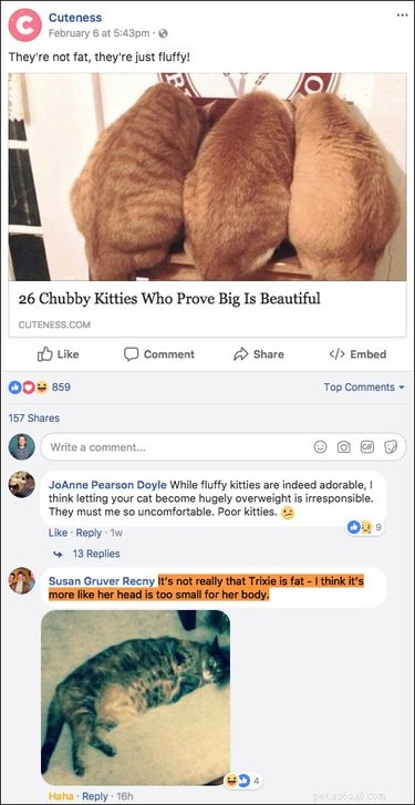 우리(또는 다른 모든) Facebook 페이지에 게시된 가장 재미있는 댓글 15개