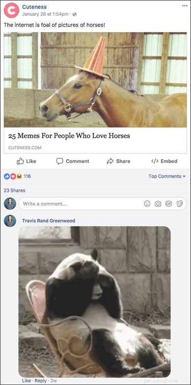 우리(또는 다른 모든) Facebook 페이지에 게시된 가장 재미있는 댓글 15개