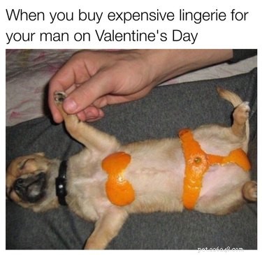 18 забавных мемов ко Дню святого Валентина, которыми можно поделиться со своей бу