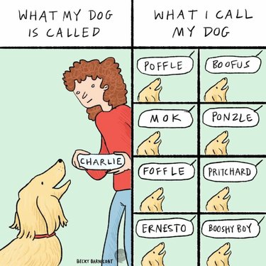 We kunnen niet genoeg krijgen van mensen die vertellen hoe hun huisdieren hun bijnamen hebben gekregen