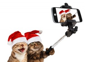 Chcete o Vánocích lepší fotky mazlíčků? Postupujte podle těchto jednoduchých tipů