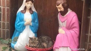 陽気なキリスト降誕のシーンの写真で赤ちゃんのイエスに座って捕まえられた不機嫌そうなSourpuss 