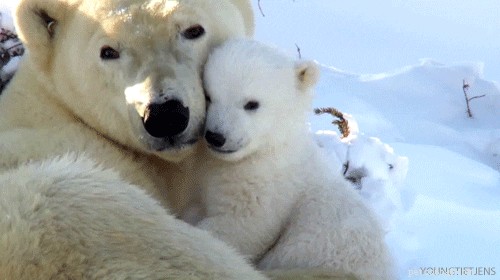 41 ögonblick av djurtillgivenhet som kommer att smälta ditt kalla, mörka hjärta
