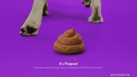 Seznamte se s Poopsie, animovaným maskotem hovínka, který si váš mazlíček dokáže vytvořit sám