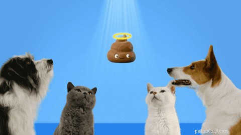 Möt Poopsie, den animerade bajsmaskoten som ditt husdjur kan skapa sig själva