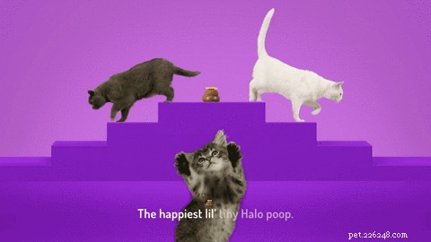 애완동물이 스스로 만들 수 있는 애니메이션 똥 마스코트 Poopsie를 만나보세요.
