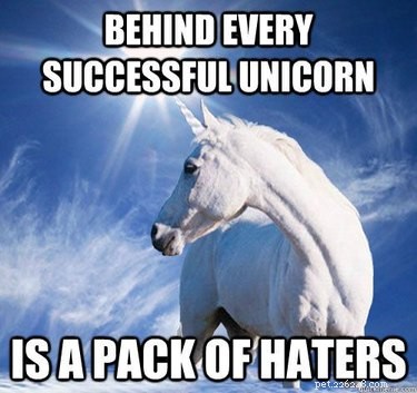 Solo 20 dei più ridicoli meme sugli unicorni che abbiamo mai visto