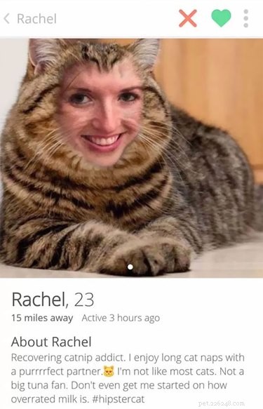 Seulement 19 profils hilarants qui prouvent que Tinder est meilleur avec les animaux