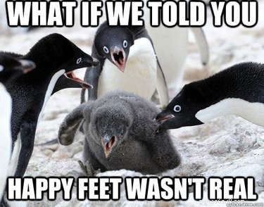 ペンギンが地球上で最もおかしな動物であることを証明する24のミーム 