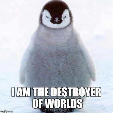 24 memů, které dokazují, že tučňáci jsou nejzábavnější zvířata na Zemi