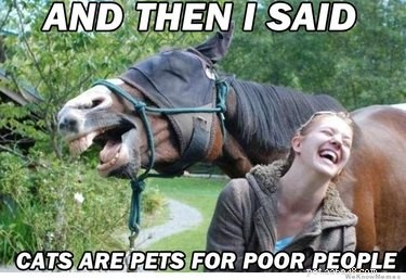 25 memer för människor som älskar hästar