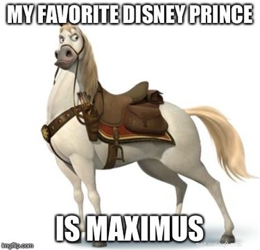 25 мемов для людей, которые любят лошадей