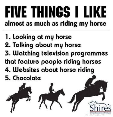 25 memů pro lidi, kteří milují koně