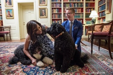 12 bizarre en populaire Amerikaanse presidentiële huisdieren