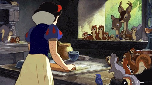 28 supercoola saker du aldrig visste om Disney-djur