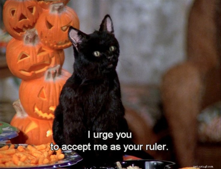 15 anledningar till att Salem From Sabrina, The Teenage Witch regerade