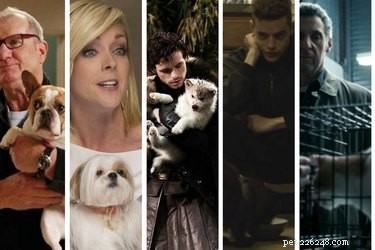 Vinnarna för det mest enastående TV-programmet husdjur är...