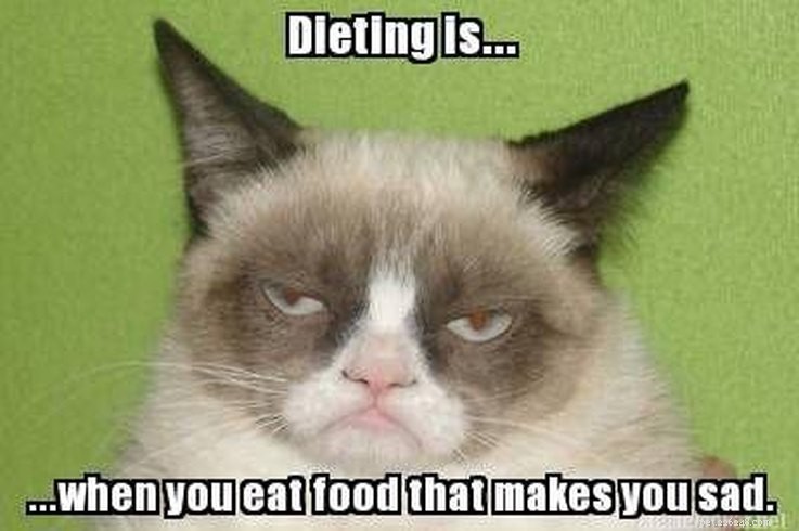 15 meme animali che solo le persone a dieta riceveranno
