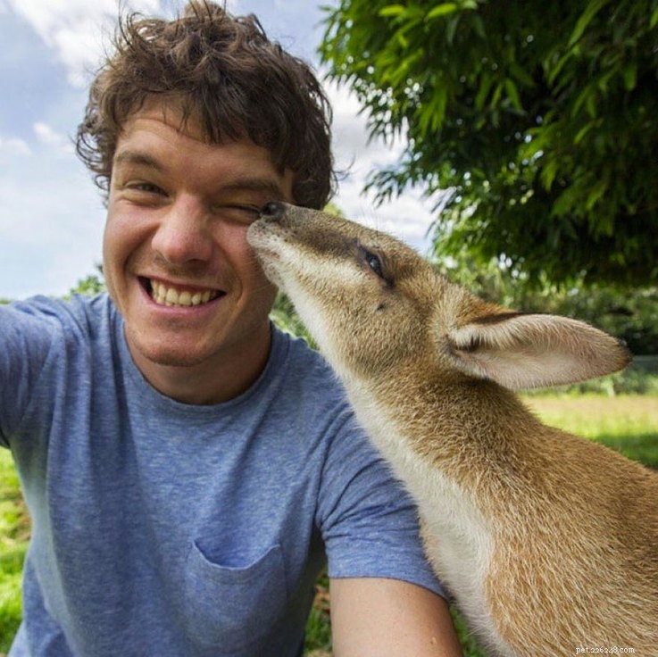 I selfie di questo tizio con gli animali sono sbalorditivi