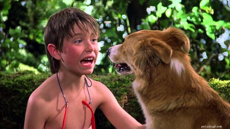 15 домашних животных из фильмов, которые запомнят все дети 90-х