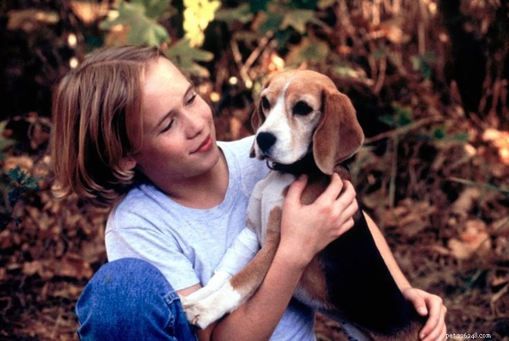 15 filmových mazlíčků Všechny děti 90. let si budou pamatovat