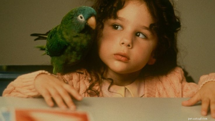 15 filmhuisdieren die alle kinderen uit de jaren 90 zullen onthouden