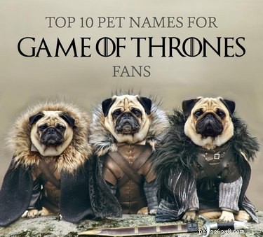Os 80 principais nomes de animais de estimação para os fãs de Game Of Thrones