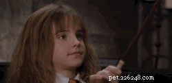 68 имен домашних животных для поклонников Гарри Поттера