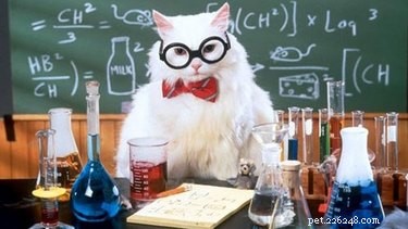 Top 130 Science-Geek huisdiernamen