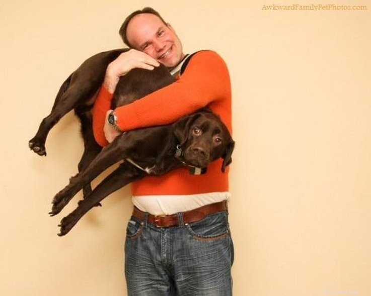Top 13 besvärliga foton av ägare med sina husdjur