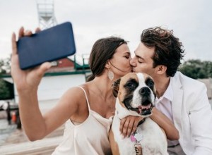 7 idées de demande en mariage impliquant des animaux mignons