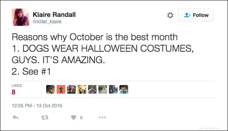 25 tweets sur les animaux de compagnie et Halloween qui sont pertinents AF