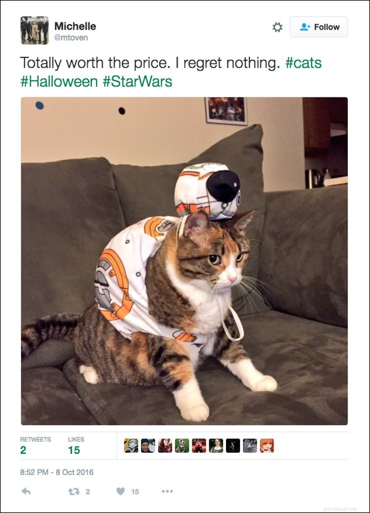 25 tweet su animali domestici e Halloween che sono riconoscibili AF