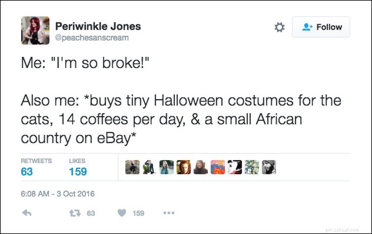 25 tweets om husdjur och Halloween som kan relateras AF