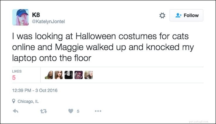 25 tweetů o domácích mazlíčcích a Halloweenu, které jsou relevantní AF