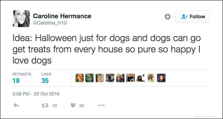 25 tweetů o domácích mazlíčcích a Halloweenu, které jsou relevantní AF