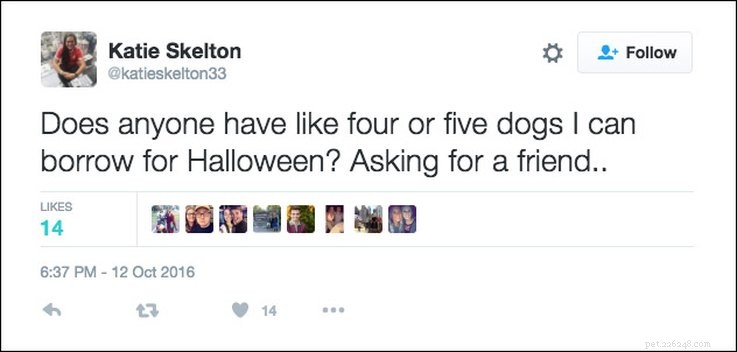 25 твитов о домашних животных и Хэллоуине, связанных с AF