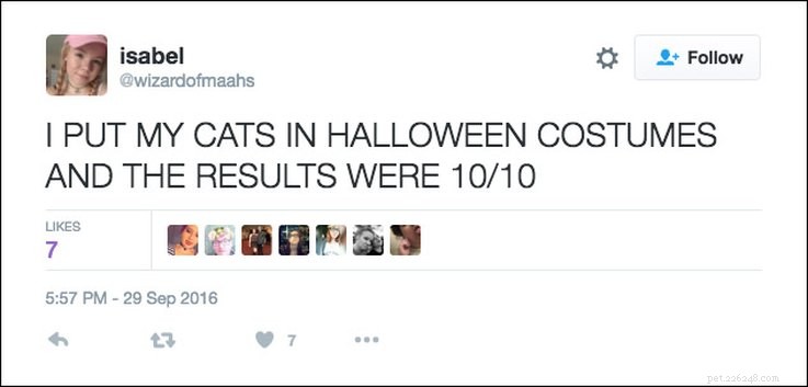 25 tweets sur les animaux de compagnie et Halloween qui sont pertinents AF
