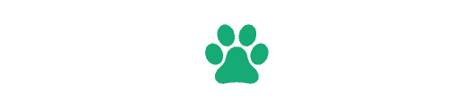 Cão Leopardo Catahoula