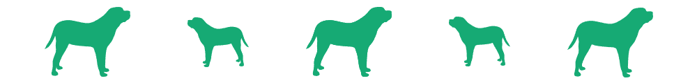 Kimola (americký eskymácký pes a směs Lhasa Apso)