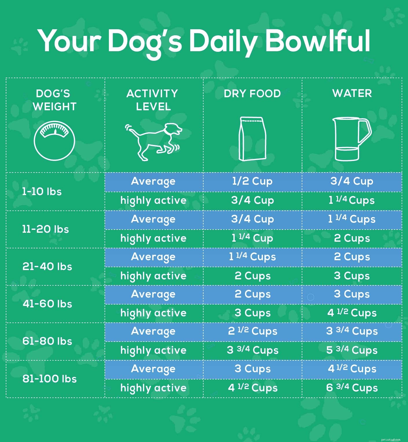 Hondengezondheidsroutines (19 eenvoudige tips en verzorgingsschema)