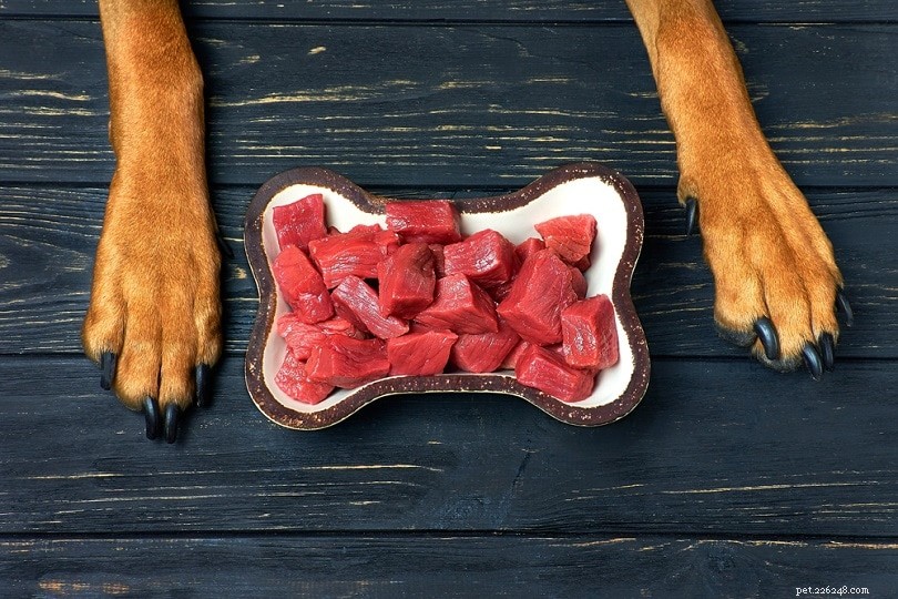 6 beste eiwitbronnen voor honden:alles wat u moet weten!
