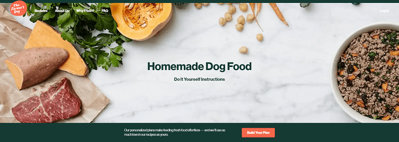 Top 5 zelfgemaakte recepten voor zelfgemaakte hondenvoer (eenvoudig en snel)
