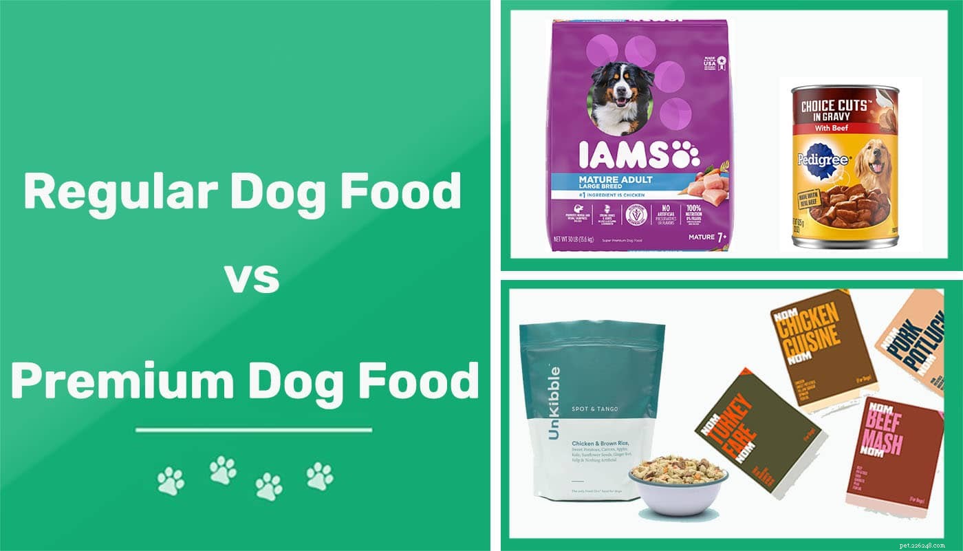Обычный и премиальный корм для собак:в чем разница?