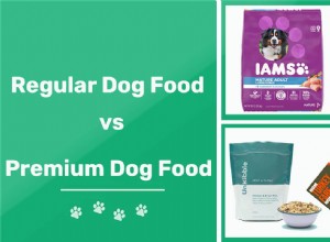 Běžné a prémiové krmivo pro psy:Jaký je rozdíl?