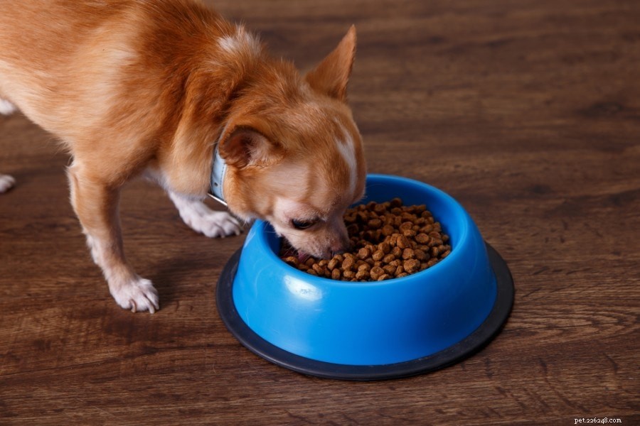 Voeding voor honden met nierziekte