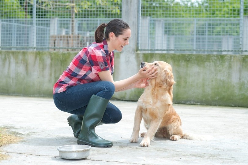 Una guida per addestrare il cane al vasino:9 semplici consigli che funzionano!