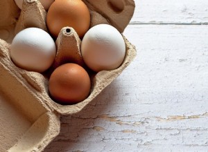 개는 계란을 먹을 수 있습니까? 알아야 할 사항!