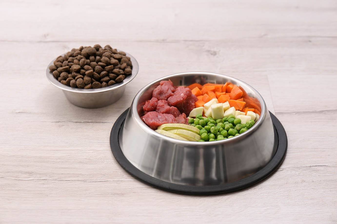 Kan hundar äta ärter? Vad du behöver veta!